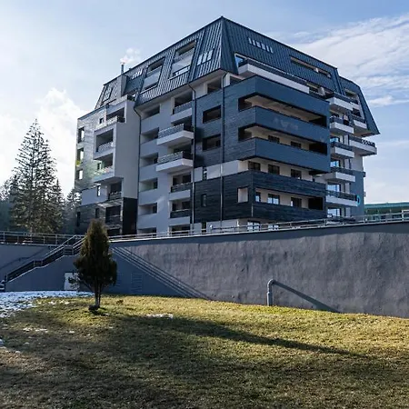 Forest Corner In Silver Mountain Of Poiana Brasov Exterior photo