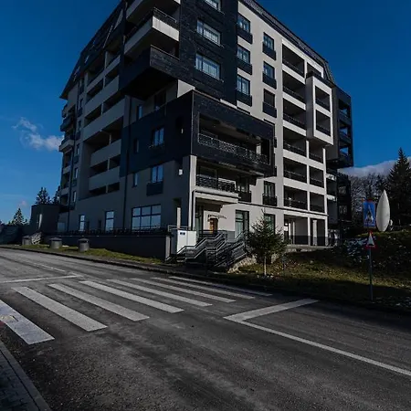 Forest Corner In Silver Mountain Of Poiana Brasov Exterior photo