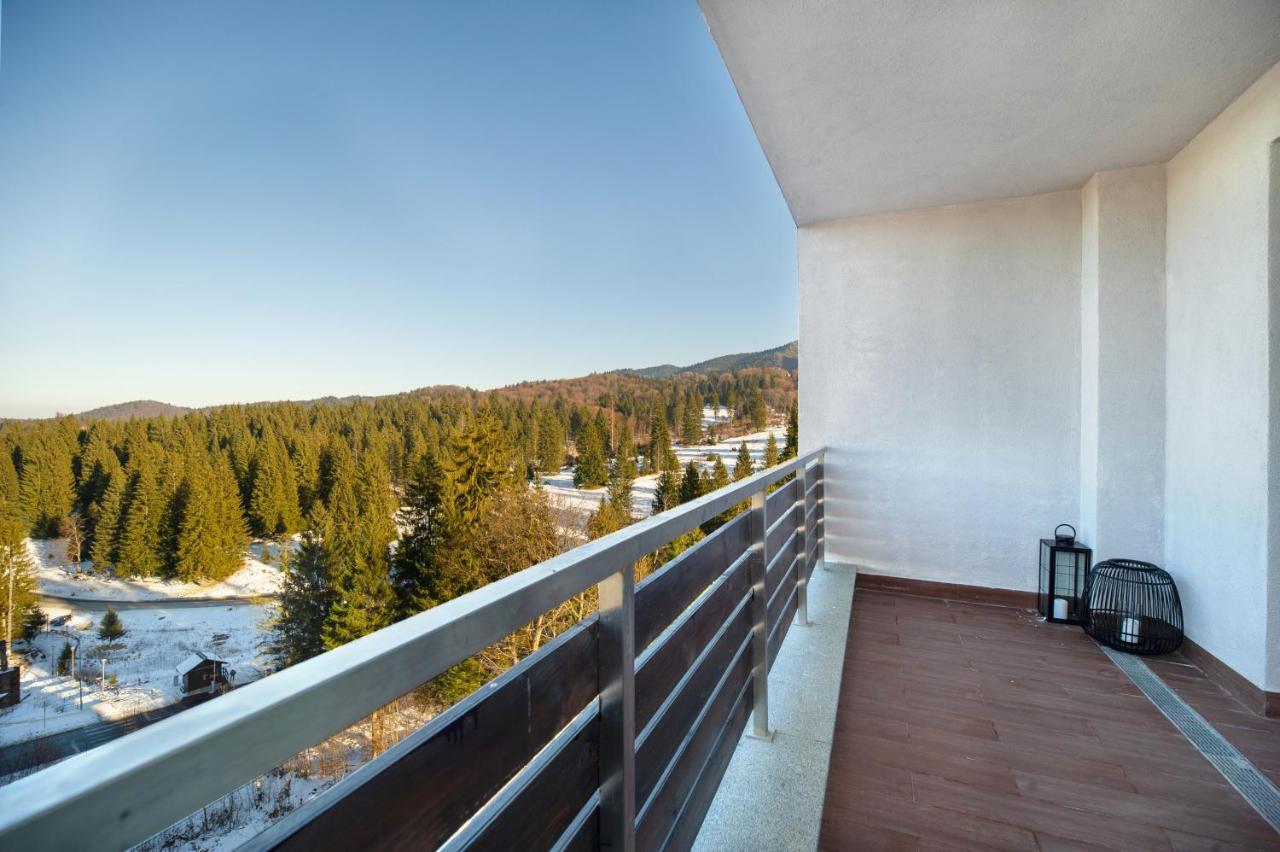 Forest Corner In Silver Mountain Of * Poiana Brasov