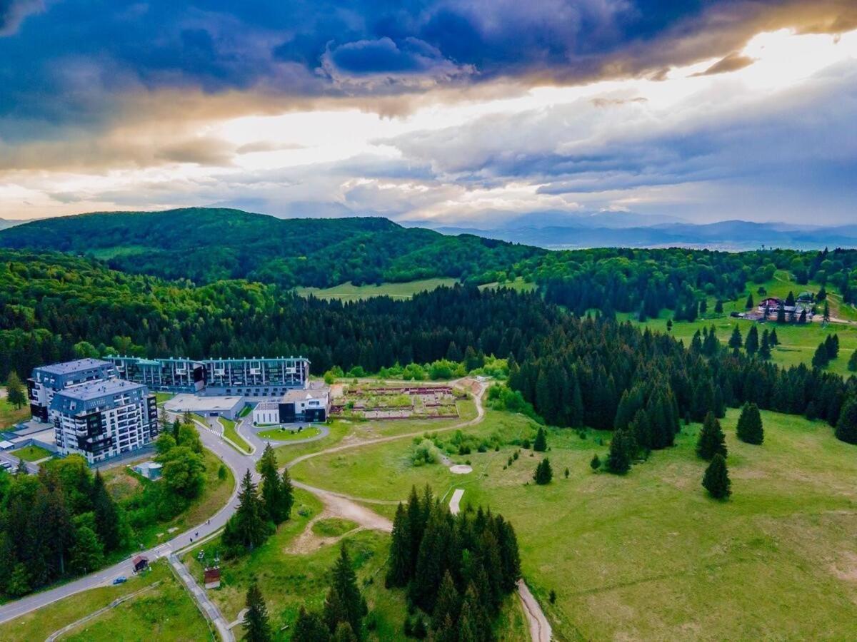 Forest Corner In Silver Mountain Of * Poiana Brasov