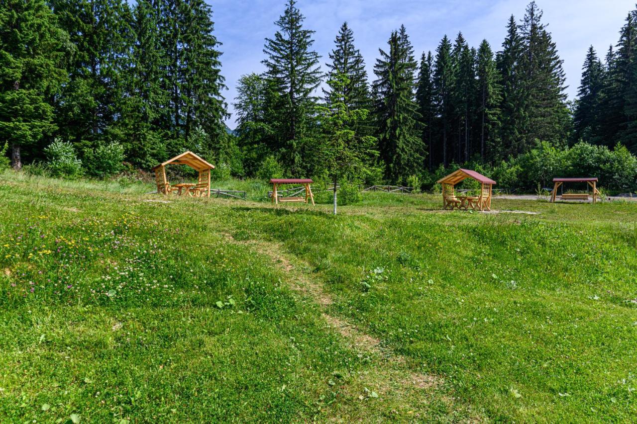 Apartment Forest Corner In Silver Mountain Of *